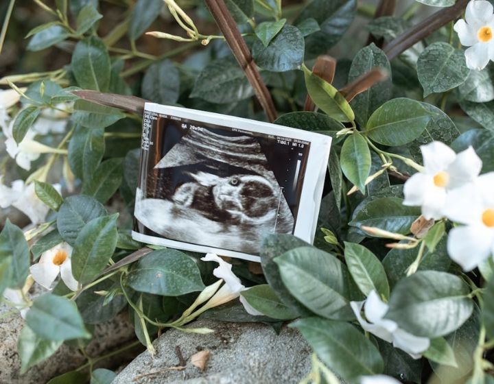 Ultrasound scan among white flowers — pregnancy loss support Singapore