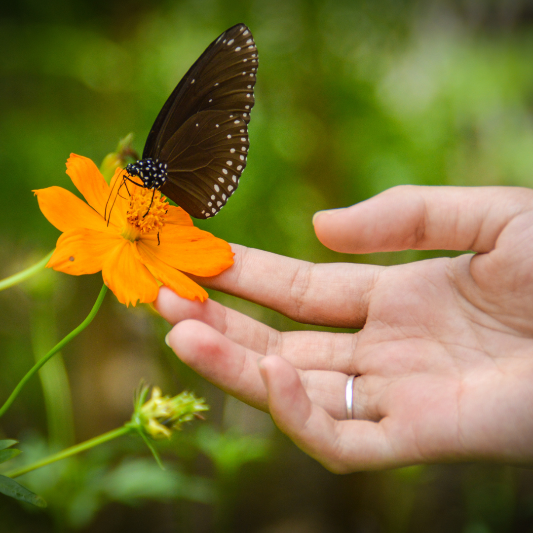 Recurrent pregnancy loss support Singapore