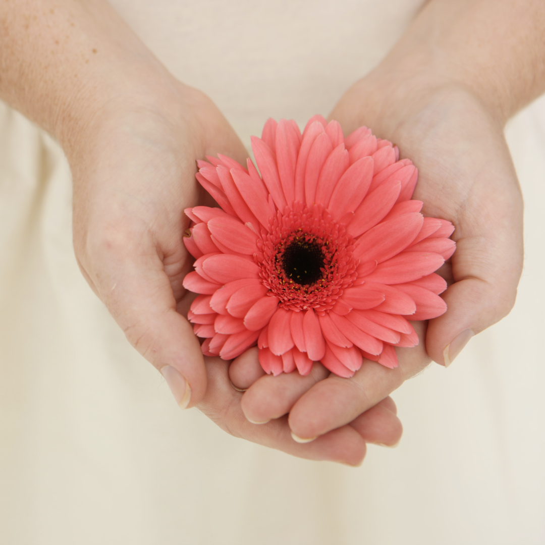 Kintsugi Journey online pregnancy loss coaching — mind, body, emotion integration