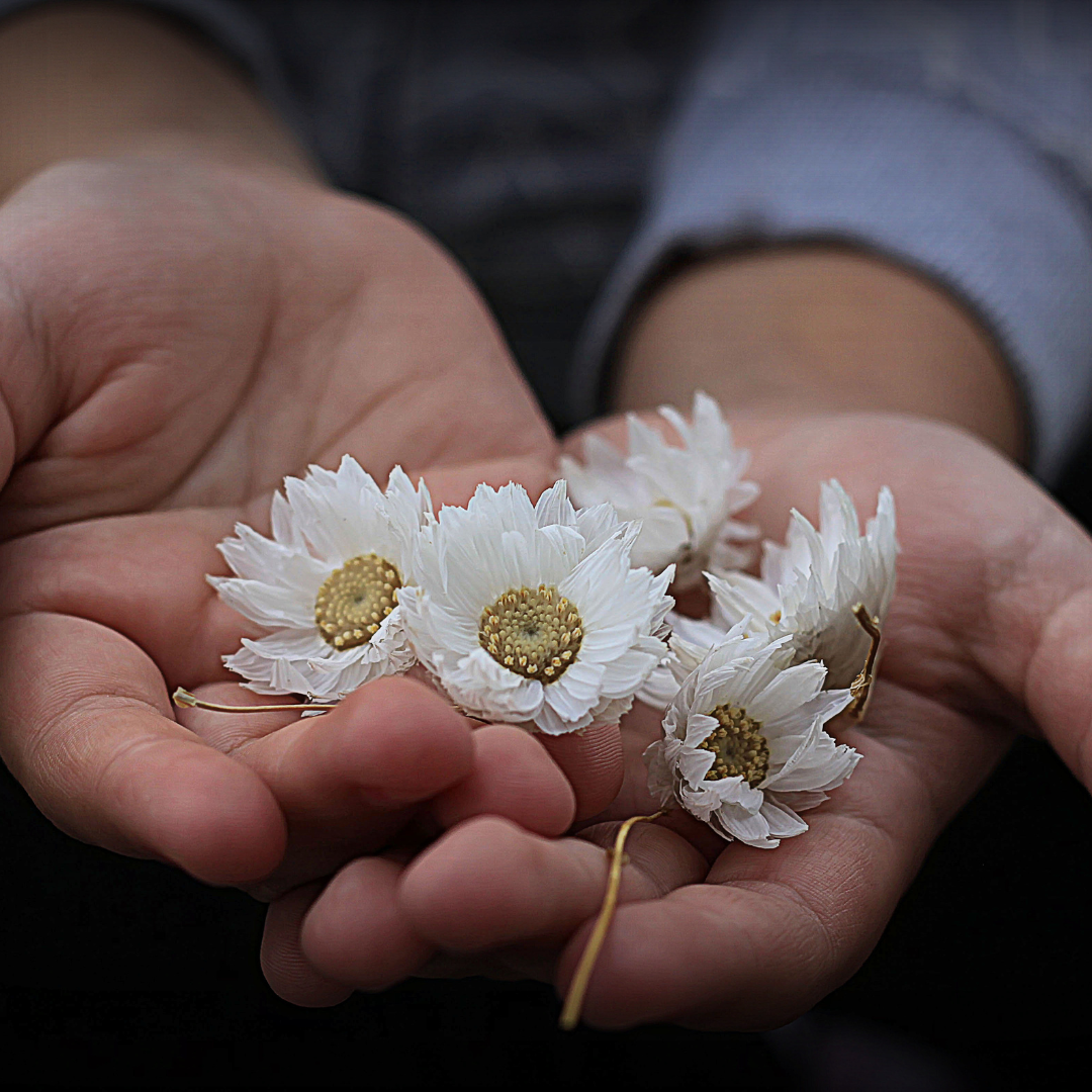 Pregnant again after loss — pregnancy after miscarriage, stillbirth, IVF loss Singapore